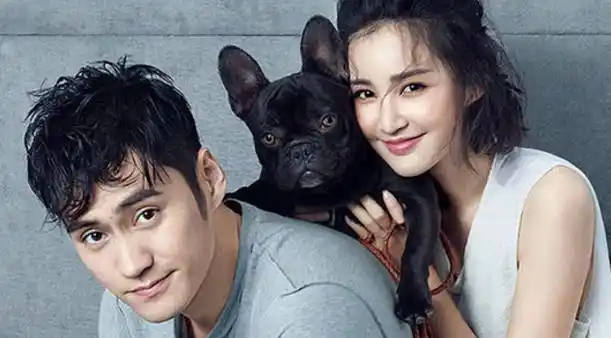 最好看的张姓女星排名 张予曦 张曼玉_娱乐圈张姓女明星